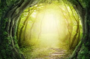What do we need to enable a more sustainable future?
