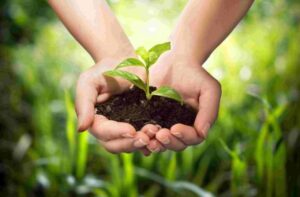 KETs Impact: Agricultural residues into bio-based chemicals – Lignoflag project